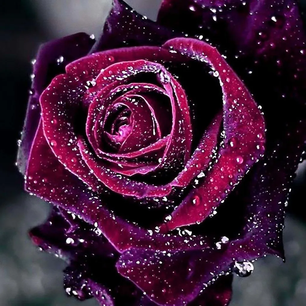 JMINE Div 5D Фиолетовые Розовые Цветы Полная Алмазная Живопись наборы для вышивки крестом Художественная Высококачественная Цветочная 3D краска с бриллиантами